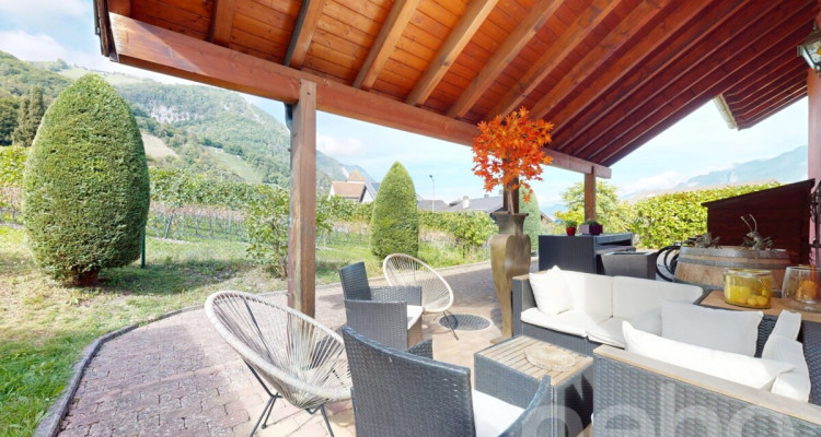 Charmante maison spacieuse avec bel espace extérieur image 11