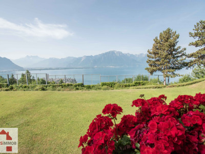 PRIVACITE, ESPACE, VUE et vous ...  image 1