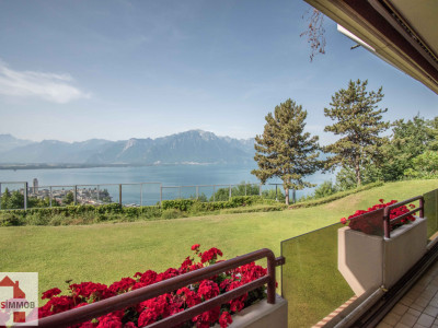 PRIVACITE, ESPACE, VUE et vous ...  image 6