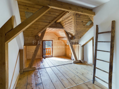 Belle maison de maître entièrement rénovée - 2 appartements image 11