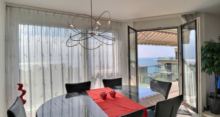 EXCLUSIF - BELLE VUE - CALME - PISCINE image 11