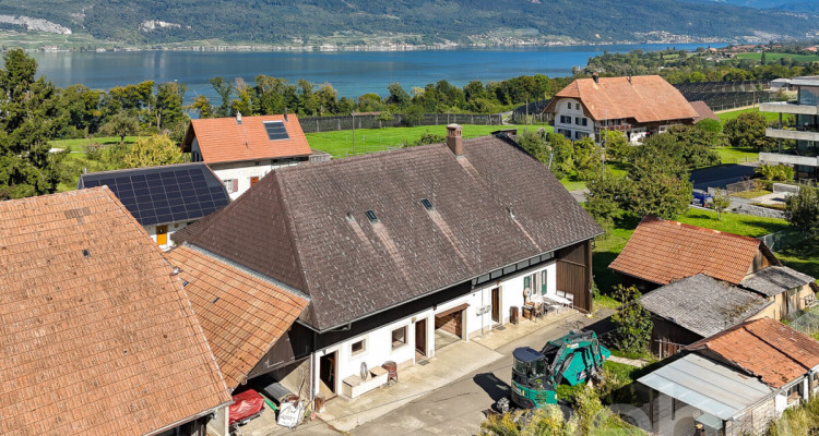 Ländlicher Charme mit grossem Grundstück und Seenähe image 1