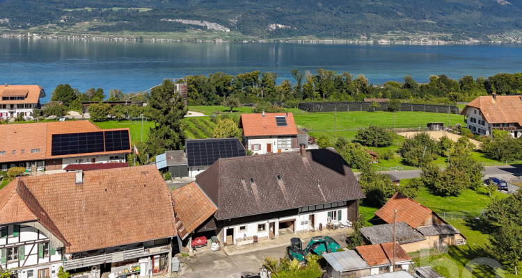 Ländlicher Charme mit grossem Grundstück und Seenähe image 2