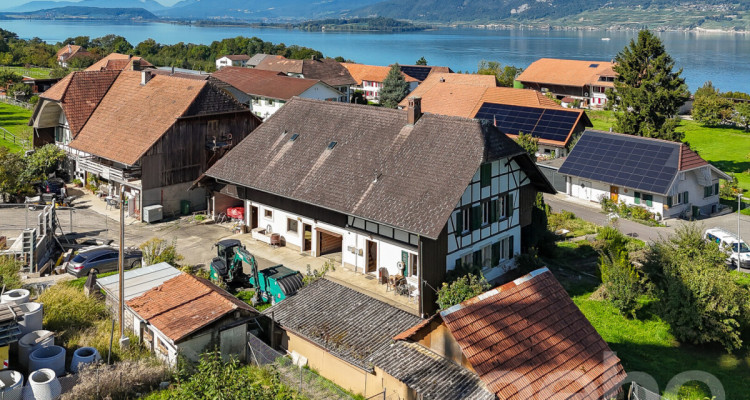 Ländlicher Charme mit grossem Grundstück und Seenähe image 3