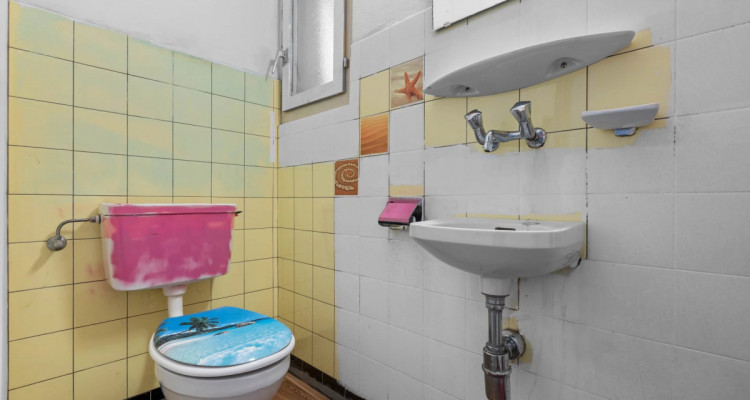 Exclusivité ! Belle bâtisse à rénover face au Lac ! image 6