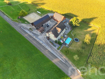 Vielfältiger Bauernhof mit Wohnraum und Pferdehaltung in Bischofszell image 1