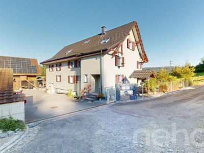 Vielfältiger Bauernhof mit Wohnraum und Pferdehaltung in Bischofszell image 2