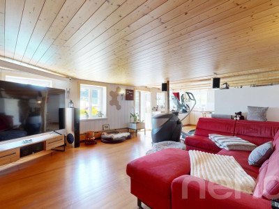 Vielfältiger Bauernhof mit Wohnraum und Pferdehaltung in Bischofszell image 3