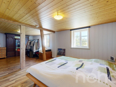 Vielfältiger Bauernhof mit Wohnraum und Pferdehaltung in Bischofszell image 5