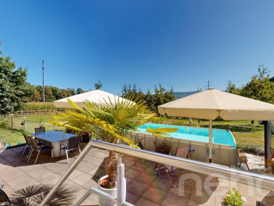 Vielfältiger Bauernhof mit Wohnraum und Pferdehaltung in Bischofszell image 9