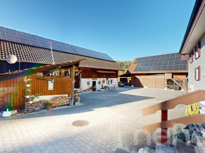 Vielfältiger Bauernhof mit Wohnraum und Pferdehaltung in Bischofszell image 11