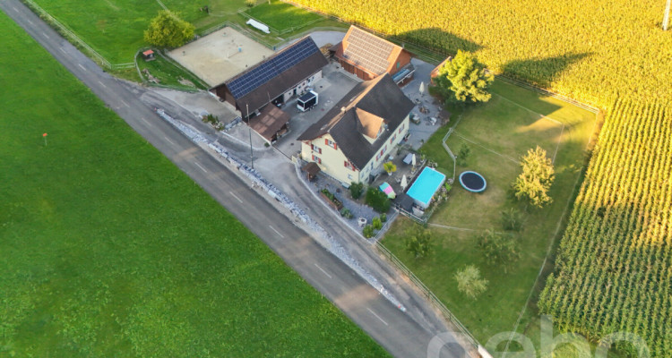 Vielfältiger Bauernhof mit Wohnraum und Pferdehaltung in Bischofszell image 1