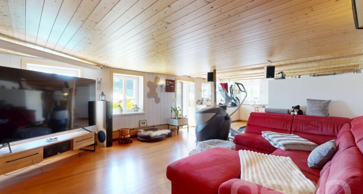 Vielfältiger Bauernhof mit Wohnraum und Pferdehaltung in Bischofszell image 3