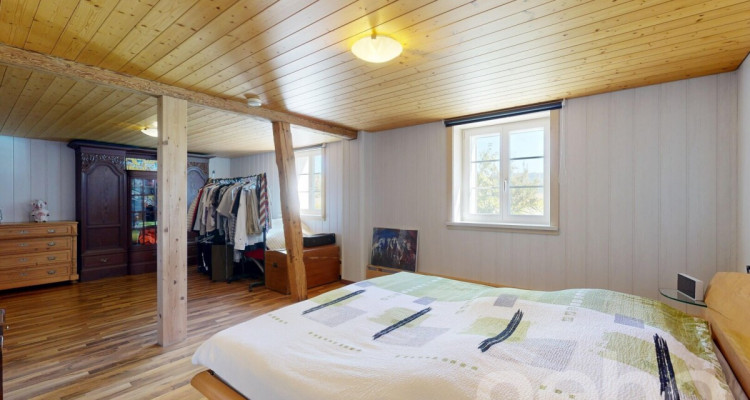 Vielfältiger Bauernhof mit Wohnraum und Pferdehaltung in Bischofszell image 5