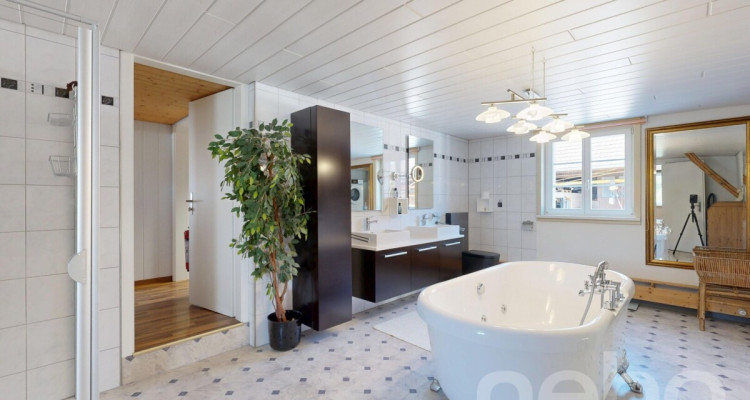 Vielfältiger Bauernhof mit Wohnraum und Pferdehaltung in Bischofszell image 8