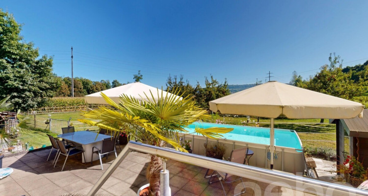 Vielfältiger Bauernhof mit Wohnraum und Pferdehaltung in Bischofszell image 9