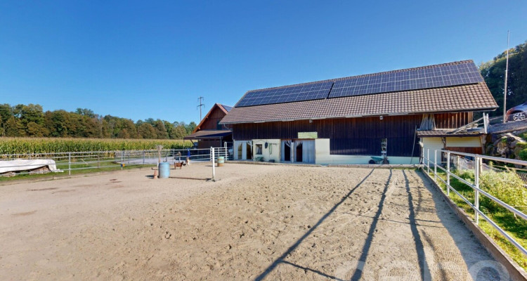 Vielfältiger Bauernhof mit Wohnraum und Pferdehaltung in Bischofszell image 10