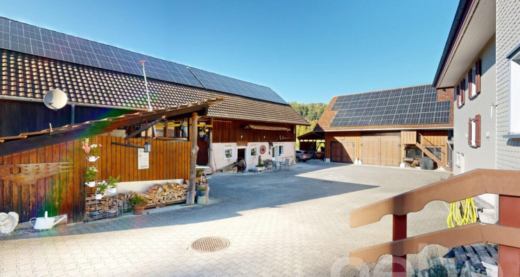 Vielfältiger Bauernhof mit Wohnraum und Pferdehaltung in Bischofszell image 11