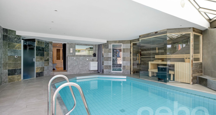 Élégante villa avec véritable spa privatif près de Lausanne image 9