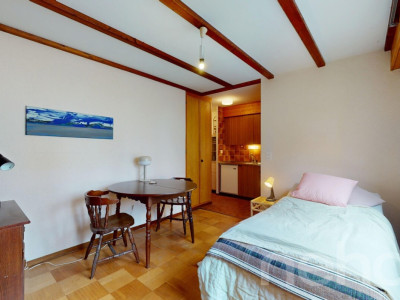 Studio à la montagne + cave privée - Villars sur Ollon image 8