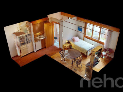 Studio à la montagne + cave privée - Villars sur Ollon image 10