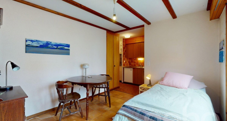 Studio à la montagne + cave privée - Villars sur Ollon image 8