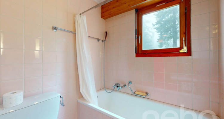 Studio à la montagne + cave privée - Villars sur Ollon image 9