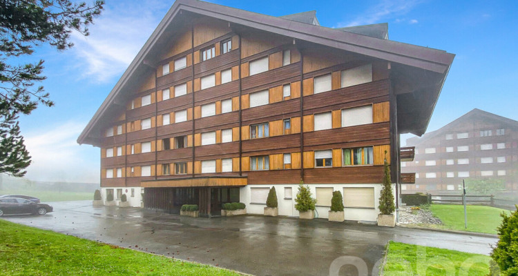 Studio à la montagne + cave privée - Villars sur Ollon image 11