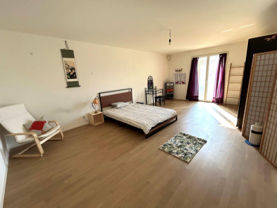 Bel appartement triplex de 3.5 pièces, terrasse image 8