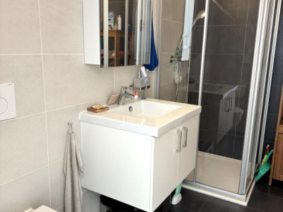 Bel appartement triplex de 3.5 pièces, terrasse image 9