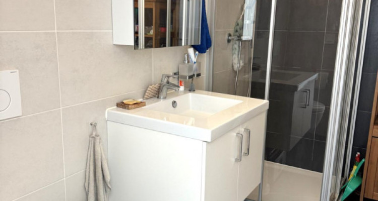 Bel appartement triplex de 3.5 pièces, terrasse image 9