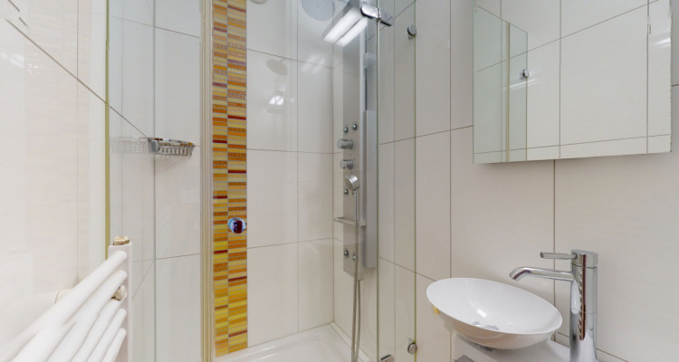 Renovierte Dachwohnung - mit Terrasse und Balkon, viel Platz und Raum image 8