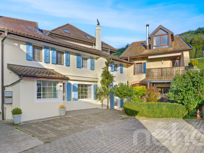 Magnifique maison entièrement rénovée avec jardin indépendant image 3