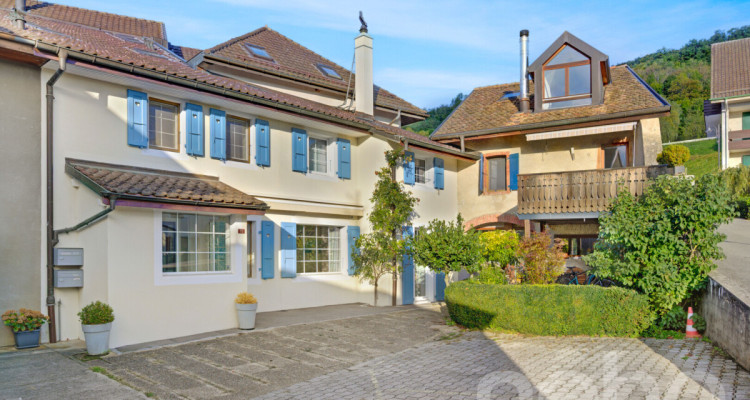 Magnifique maison entièrement rénovée avec jardin indépendant image 3