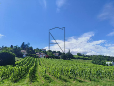 Brand new office with balcony image 4