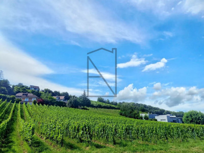 Brand new office with balcony image 5