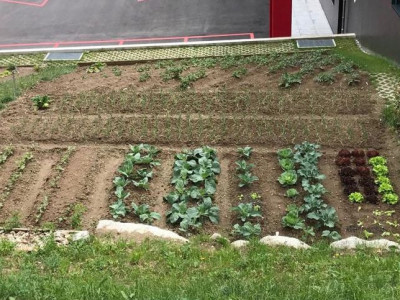 LUMINEUX ET SPACIEUX, VUE IMPRENABLE A ORSIERE image 10