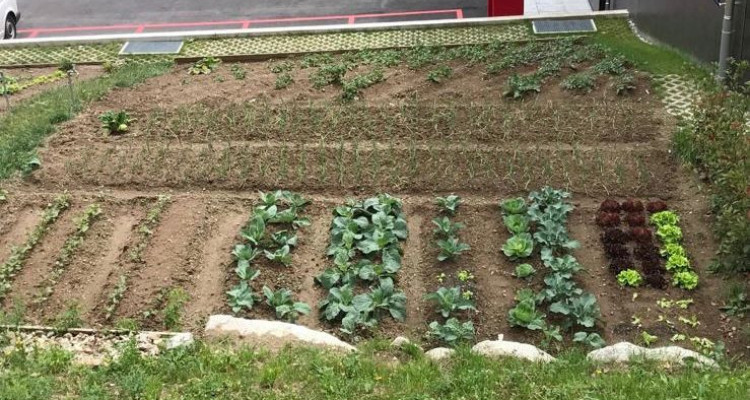 LUMINEUX ET SPACIEUX, VUE IMPRENABLE A ORSIERE image 10