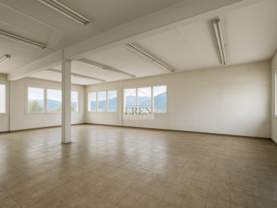 Atelier - Halle : Grande surface à louer à Conthey image 1