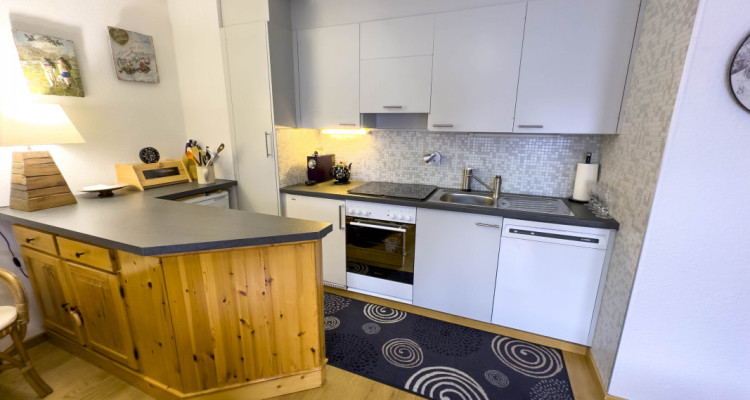 Escapade n° 153 - joli 2 pièces rénové image 3