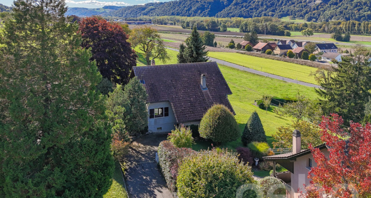 Lumière, espace et potentiel: Charmante villa individuelle avec jardin image 2