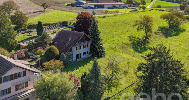 Lumière, espace et potentiel: Charmante villa individuelle avec jardin image 12
