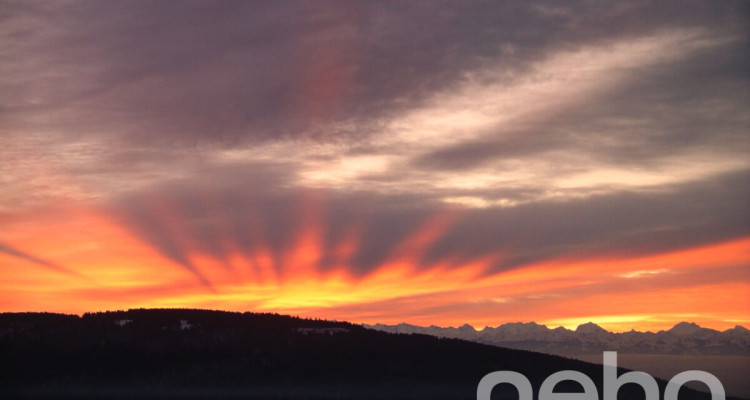 Maison individuelle avec studio indépendant et vue imprenable ! image 10