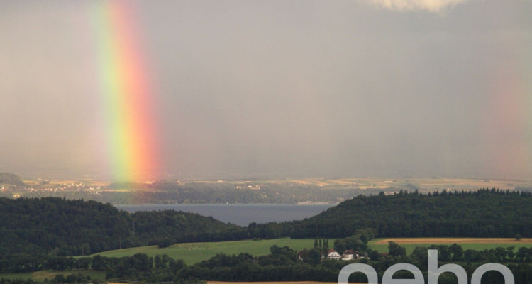 Maison individuelle avec studio indépendant et vue imprenable ! image 11