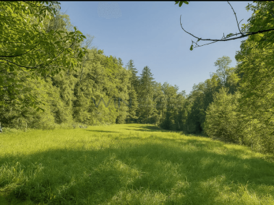 Historische Werte, moderne Chancen: Investieren mit Weitblick image 10