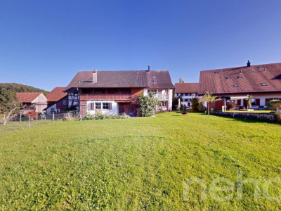 Sonniges Baugrundstück an ruhiger Lage in Buch am Irchel image 8