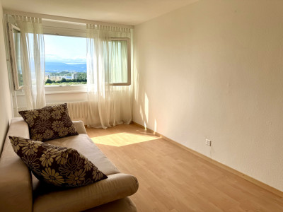 Bel appartement rénové avec grand balcon et vue sur le lac et les Alpes image 8