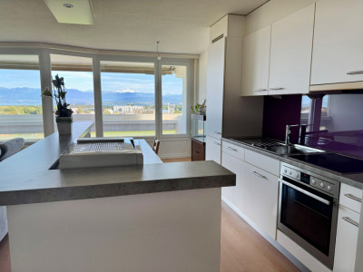 Bel appartement rénové avec grand balcon et vue sur le lac et les Alpes image 2