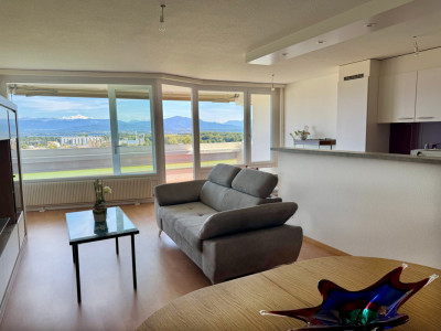 Bel appartement rénové avec grand balcon et vue sur le lac et les Alpes image 3