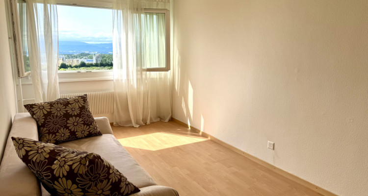 Bel appartement rénové avec grand balcon et vue sur le lac et les Alpes image 8